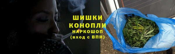 бошки Алексин