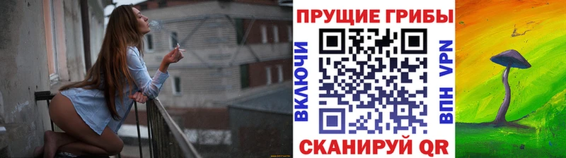 даркнет как зайти  Соликамск  Псилоцибиновые грибы Magic Shrooms 